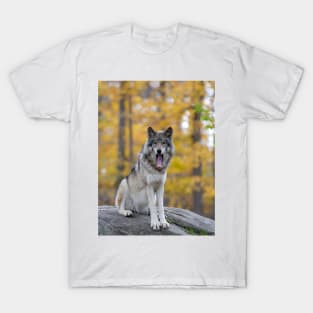 Timber Wolf T-Shirt